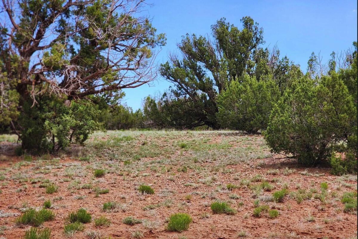 4317 Pinto Rd, Snowflake, AZ 85937