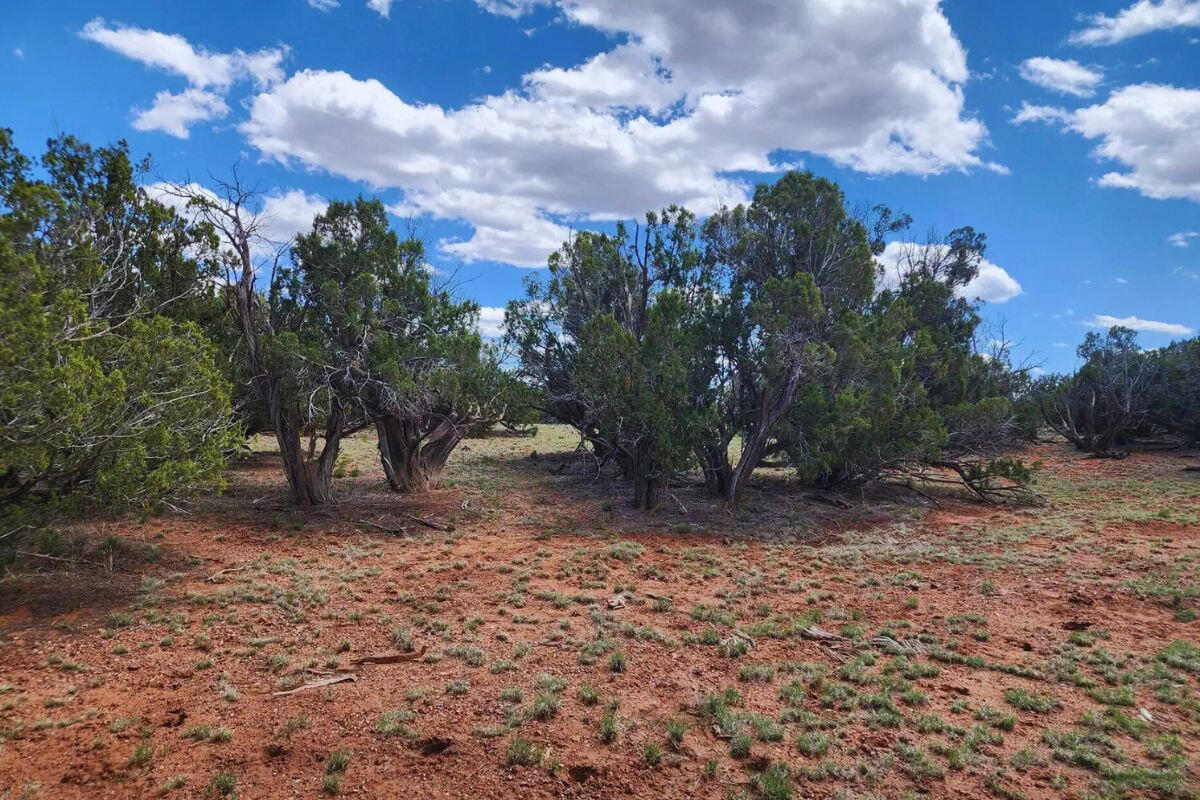 4317 Pinto Rd, Snowflake, AZ 85937