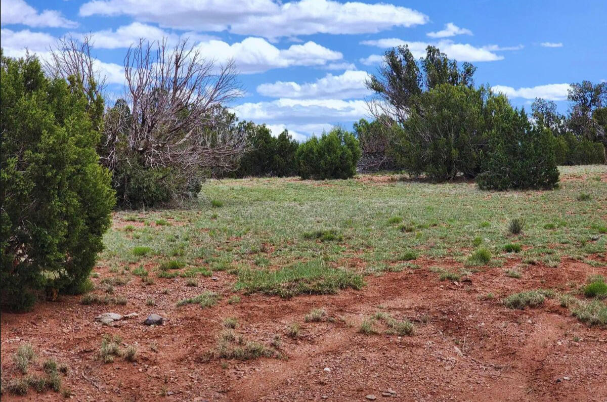 4317 Pinto Rd, Snowflake, AZ 85937