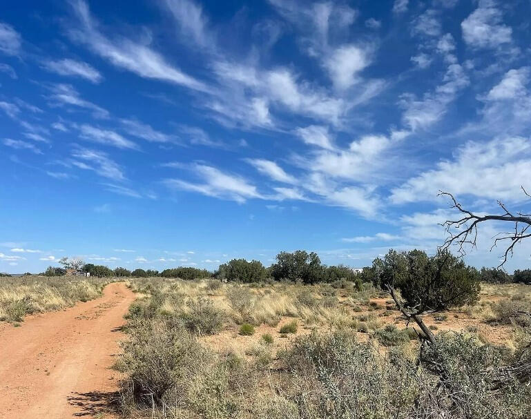 4317 Pinto Rd, Snowflake, AZ 85937