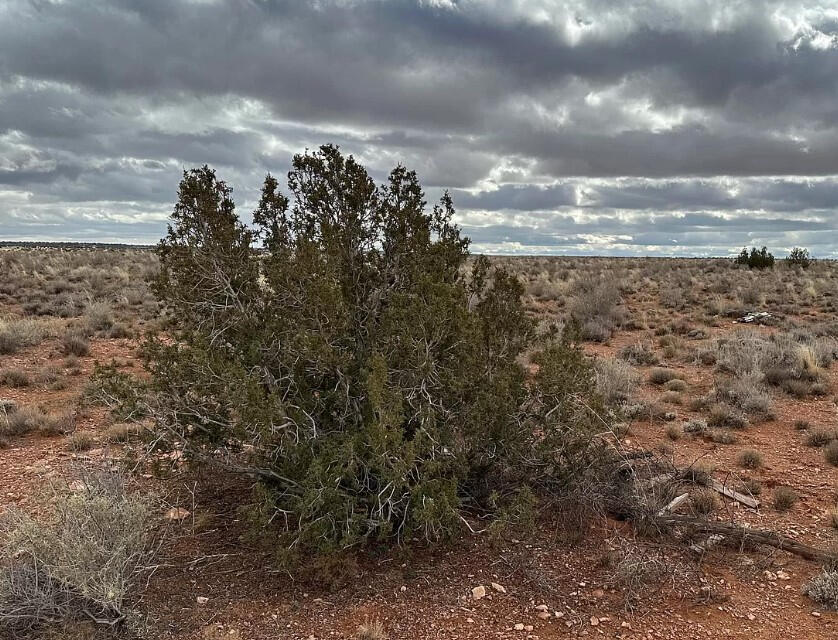 4317 Pinto Rd, Snowflake, AZ 85937