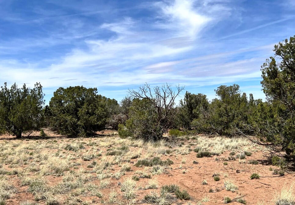 4317 Pinto Rd, Snowflake, AZ 85937